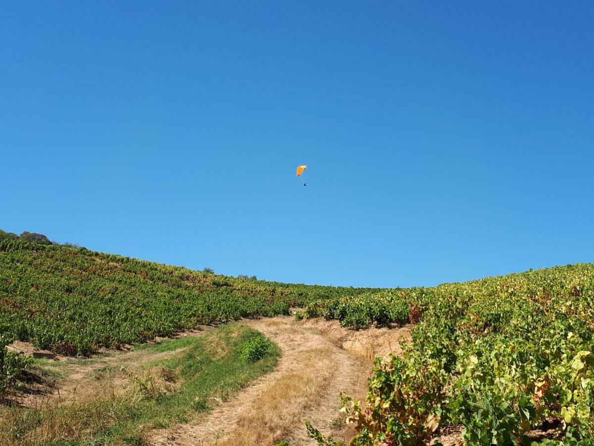 Le Mont Brouilly Quincié-en-Beaujolais